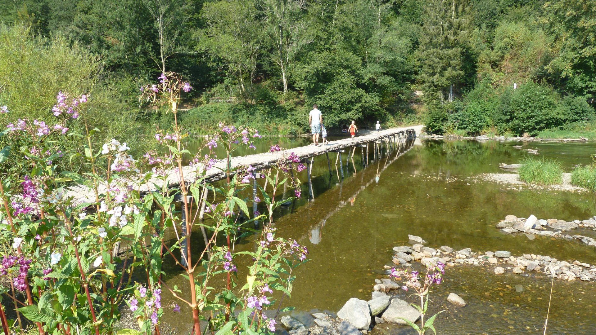 Le Moulin Cognaut - foto 9