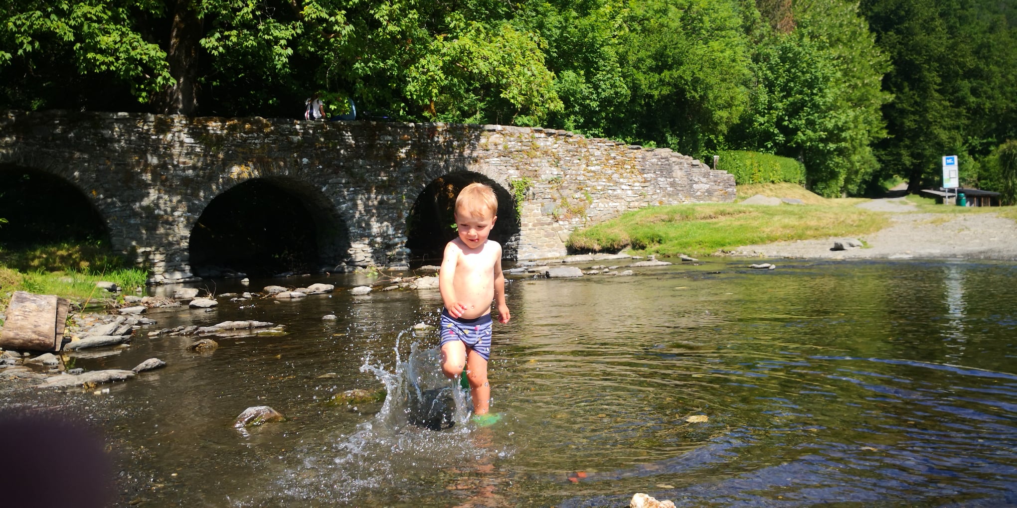 Le Moulin Cognaut - foto 11