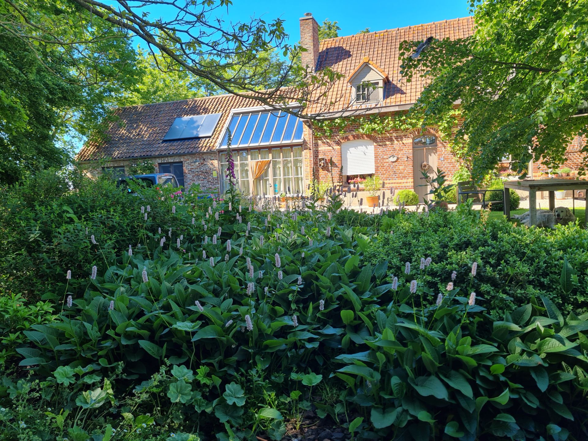De Wolvenput - vakantiewoning Dentergem