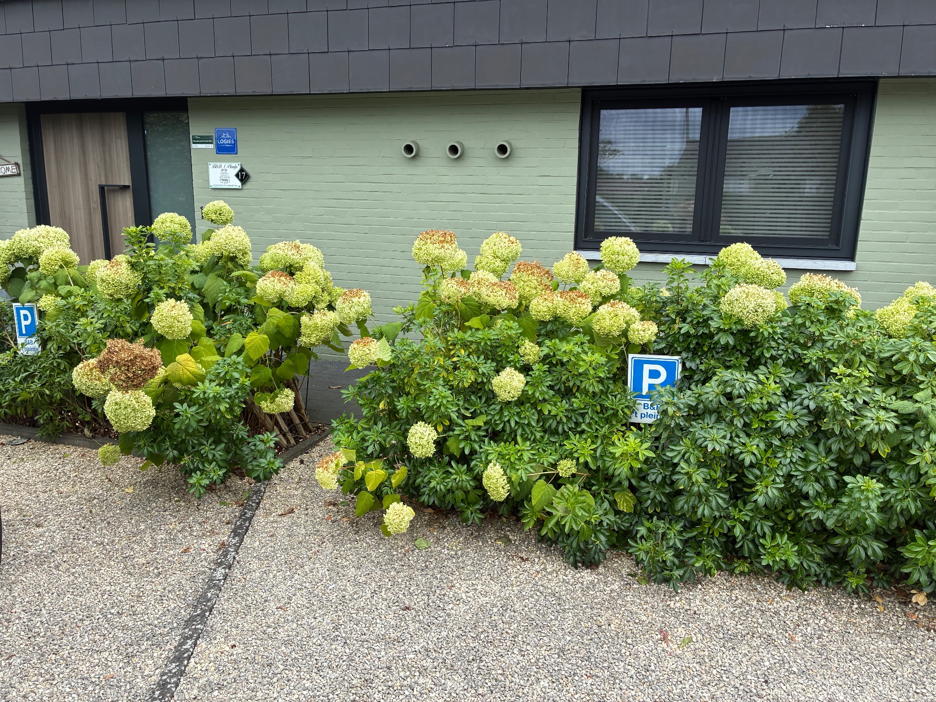 B&B 't Pleintje - vakantiewoning Overpelt